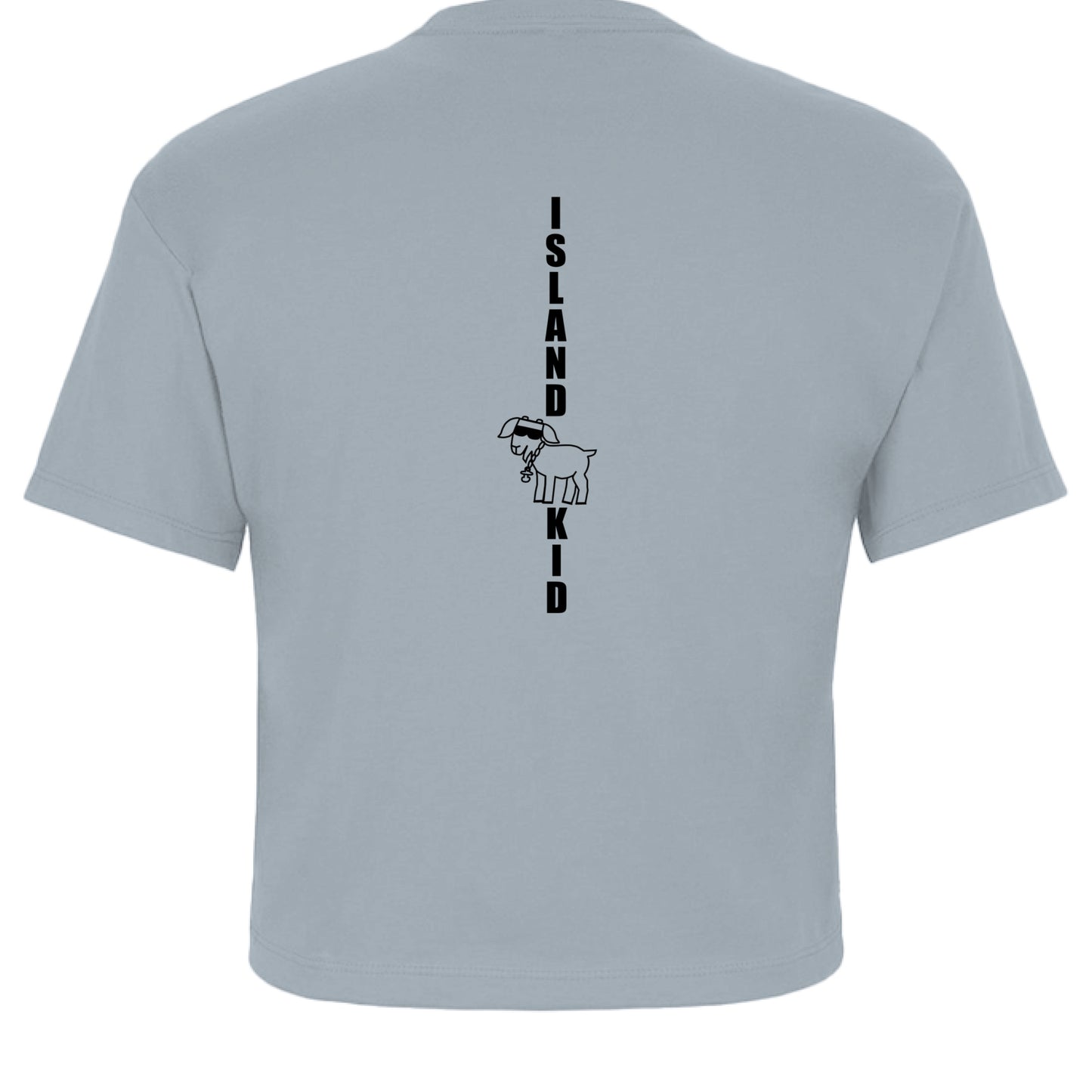 Stonewash Denim - BACK